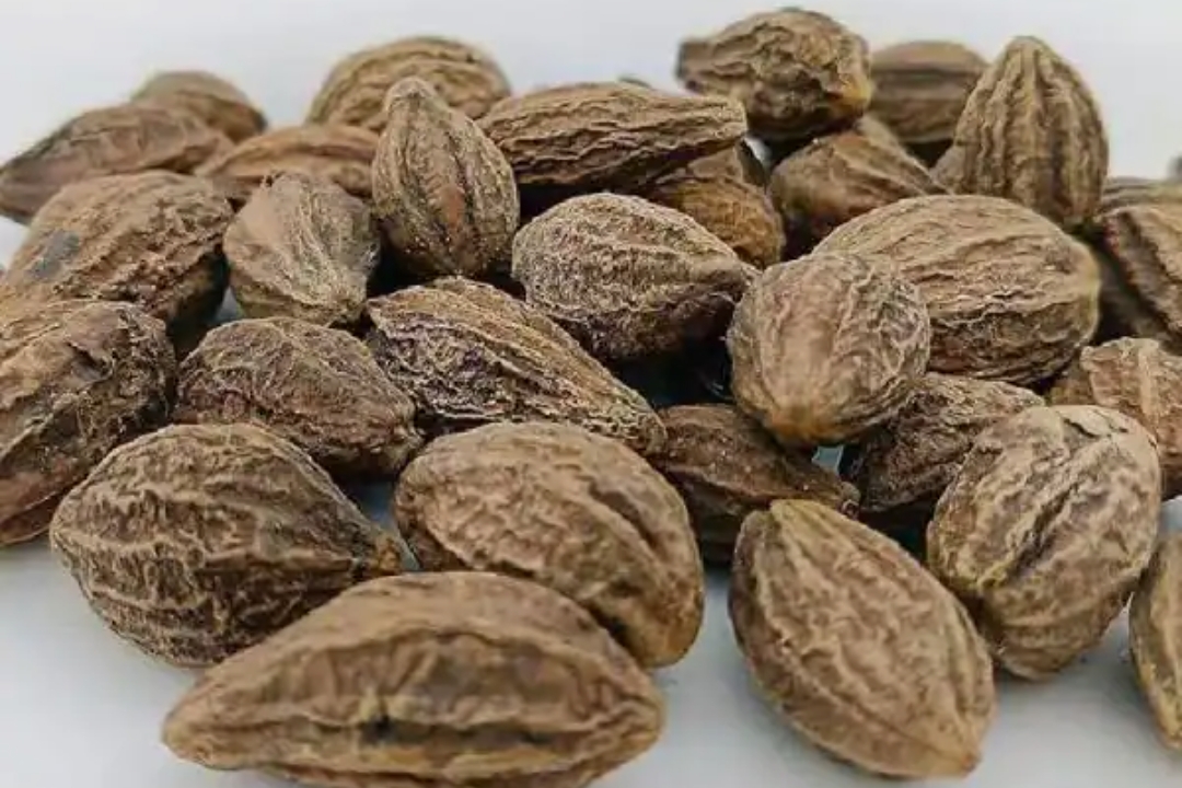 Kadukkai